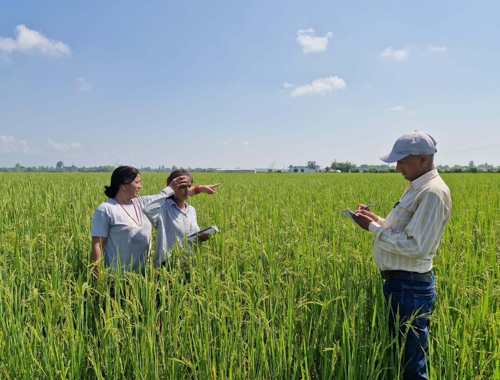 Seeds of today, harvests of tomorrow.